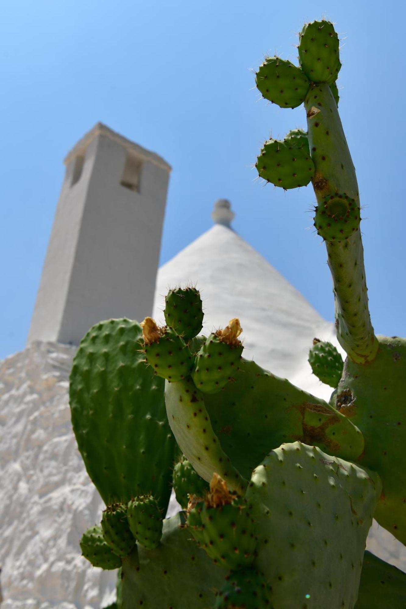 Il Trullo Bianco - Country House & Spa Castellana Grotte Eksteriør bilde